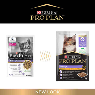 Purina pro plan sales wet kitten food